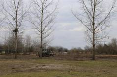 Mini IMG 4921